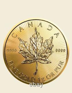 1 Gram Gold Maple Leaf Coin 2023 (In Assay). 9999 Fine Bullion Gold Coin