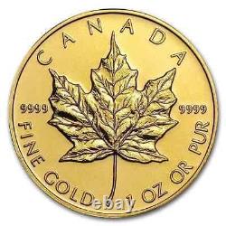 1 oz Canadian Gold Maple Leaf Coin (Random Year. 925 Fine)