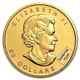 1 Oz Canadian Gold Maple Leaf Coin (random Year. 9999 Fine)