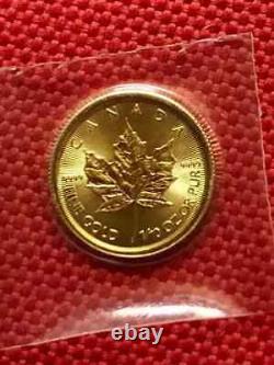 1 oz Canadian Gold Maple Leaf Coin (Random Year. 9999 Fine) 14k Yellow Gold FN