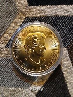 1 oz Canadian Gold Maple Leaf Coin (Random Year 9999 Fine) 14kYellow Gold Plated