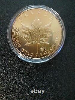 1 oz Canadian Gold Maple Leaf Coin (Random Year 9999 Fine) 14kYellow Gold Plated