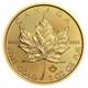 1 Oz Gold Maple Leaf Coin Canadian Coin. 9999 Fine Gold