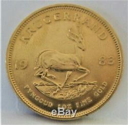 1893 1 Oz Fine Gold Krugerrand! Free Shipping! No Reserve
