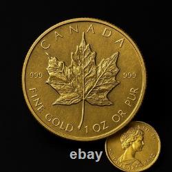 1982 Canadian Gold Maple Leaf $50 Coin 1 oz. 999 Fine Gold