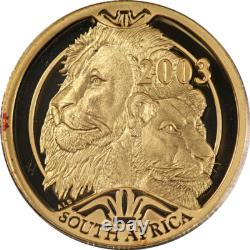 2003 South Africa Natura Gold Set The Lion 3 Coin 1/2, 1/4, 1/10oz. 999 Fine 2003 South Africa Natura Gold Set The Lion 3 Coin 1/2, 1/4, 1/10oz. 999 Fine