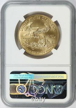 2006-W Burnished Gold American Eagle $50 NGC MS70 1oz Fine Gold