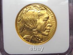 2008 American Gold Buffalo 1 troy oz. 9999 Fine $50 NGC MS69 Early Releases