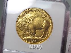 2008 American Gold Buffalo 1 troy oz. 9999 Fine $50 NGC MS69 Early Releases