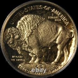 2008-W Buffalo Gold $5.9999 Fine ANACS PR70 Deep Cameo Blue Label