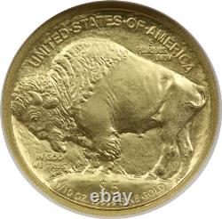 2008-W Burnished Gold Buffalo $5 Tenth-Ounce NGC E/R MS 70 1/10 oz Fine Gold 2008-W Burnished Gold Buffalo $5 Tenth-Ounce NGC E/R MS 70 1/10 oz Fine Gold