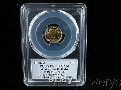 2008-w American Gold Buffalo $5 1/10 Oz. 9999 Fine Gold Pcgs Pr 70 Dcam