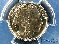 2008-w American Gold Buffalo $5 1/10 Oz. 9999 Fine Gold Pcgs Pr 70 Dcam
