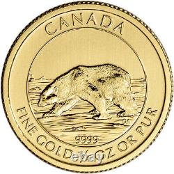 2013 Canada Gold Polar Bear $10 1/4 oz. 9999 Fine BU