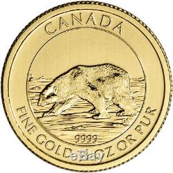 2013 Canada Gold Polar Bear $10 1/4 oz. 9999 Fine BU