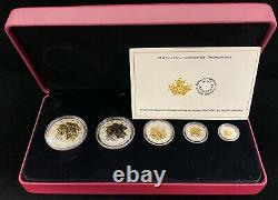2014 Canadian Fractional Fine Silver Maple Leaf 5 Coin Set with Gold Plating