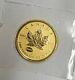 2015 Canadian Maple Leaf E=mc2 Privy 9999 Fine Gold 1/10 Oz $5 Canada Coin