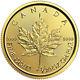 2016 1/20oz Canadian Gold Maple Leaf Coin. 9999 Fine Bu