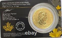 2016 $200 Canadian Gold Roaring Grizzly 1 oz 99999 Fine Gold Secondary Market