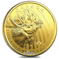 2019 1 oz Canadian Gold Moose Call of the Wild $200.99999 Fine Gold In