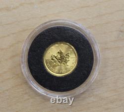 2019 Canada 1/20 oz Gold Maple Leaf BU. 9999 Fine Gold Coin FREE SHIPPING