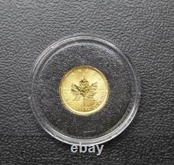 2019 Canada 1/20 oz Gold Maple Leaf BU. 9999 Fine Gold Coin FREE SHIPPING