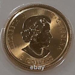 2019 Canada $5 1/10 Troy Ounce. 9999 Fine Gold Polar Bear Coin UNC