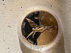 2019 Mexico 1 Oz. 999 Fine Gold Proof Libertad Coin In Capsule