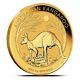 2019-p (perth) Australia 1 Oz. 9999 Fine Gold Kangaroo Coin In Mint Capsule