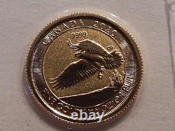 2020 Canada 1/10 9999 Fine Gold $5 Coin Special Issue Eagle In Original Plastic