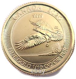 2020 Canada 1/10 oz Gold Bald Eagle $5 Coin. 9999 Fine Gold