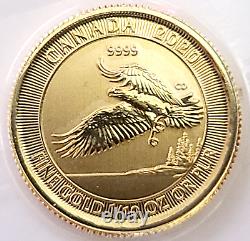 2020 Canada 1/10 oz Gold Bald Eagle $5 Coin. 9999 Fine Gold