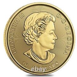 2021 1/4 oz Canadian Twin Maple Leaf Gold Coin. 9999 Fine BU (Sealed)