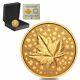 2021 1 Oz Canadian Piedfort Gold Maple Leaf Celebration Coin. 9999 Fine Withbox &