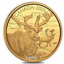 2021 Canada 35 gram Proof Gold Coin The Caribou Wildlife Portraits. 99999 Fine
