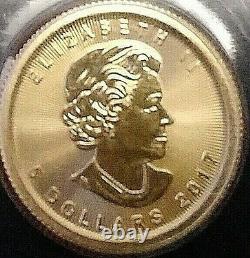 2021 Gold Canadian Maple Leaf 1/10 oz. Fine Gold. 9999 Gem Brilliant