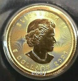 2021 Gold Canadian Maple Leaf 1/10 oz Fine Gold. 9999 RCM Gem Brilliant