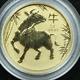 2021 Perth Australia Year Of The Ox 1/20 Oz. 9999 Fine Gold Coin With Capsule