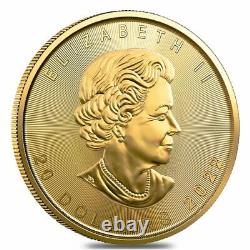 2022 1/2 oz Canadian Gold Maple Leaf $20 Coin. 9999 Fine BU (Sealed)
