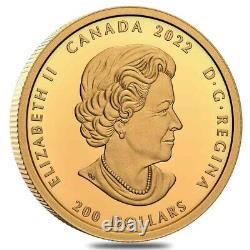 2022 Canada 1 oz Gold Culture and Traditions Canada's Diversity Coin. 9999 Fine