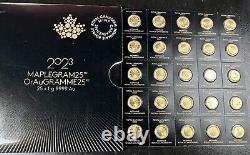 2023 25x1 gram Gold Maplegram25 RCM Royal Canadian Mint. 9999 Fine in Assay