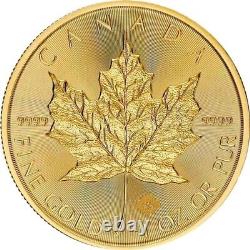 2024 1 oz Canadian Gold Maple Leaf $50 Coin 9999 Fine Gold BU In Stock