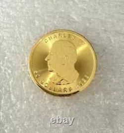 2025 Gold 1 oz Canadian Maple Leaf $50 Coin. 9999 Fine coin 14k Yellow Gold FN