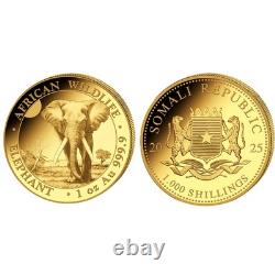 2025 Somalia Gold Elephant 1 oz. 9999 Fine Brilliant Uncirculated