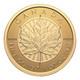 2026 Canada $200 Limited Edition 1 Oz. 99999 Fine Gold Maple Leaf Coin