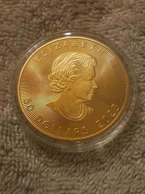$50 Elizabeth Ii 2023 Canadian 9999 Fine Gold 1 Oz Or Pur Lg. Plate Coin Lot