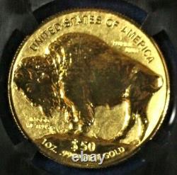 9999 Fine Gold 2013W American Buffalo $50 Reverse Proof NGC Early Releases PF70