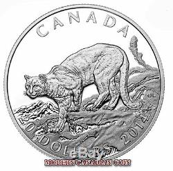 CANADA $20 1oz FINE SILVER COIN COUGAR WILDERNESS 1 PURE GOLD+1 PLATINUM (2014)