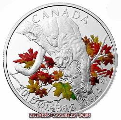 CANADA $20 1oz FINE SILVER COIN COUGAR WILDERNESS 1 PURE GOLD+1 PLATINUM (2014)