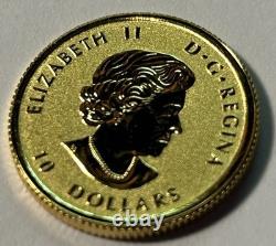Canada RCM 2019 $10 Reverse Proof Horse 1/4 Oz. 999 Fine Gold Coin Bullion Canada RCM 2019 $10 Reverse Proof Horse 1/4 Oz. 999 Fine Gold Coin Bullion